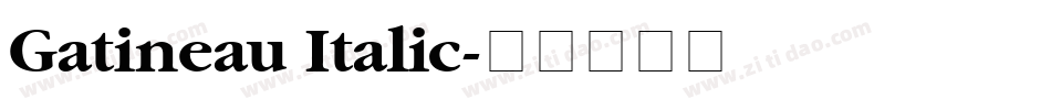 Gatineau Italic字体转换